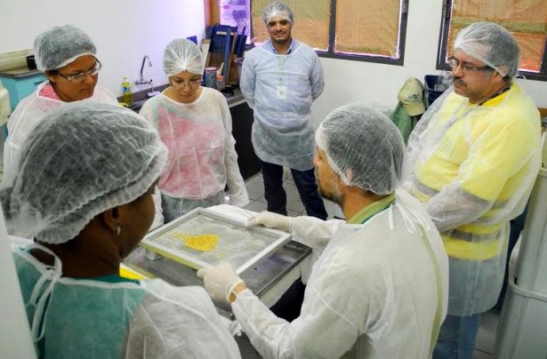 Senar/MS incentiva produção de pólen em propriedades rurais Foto: Divulgação