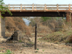 Combate à desertificação não é prioridade de governos, diz especialista