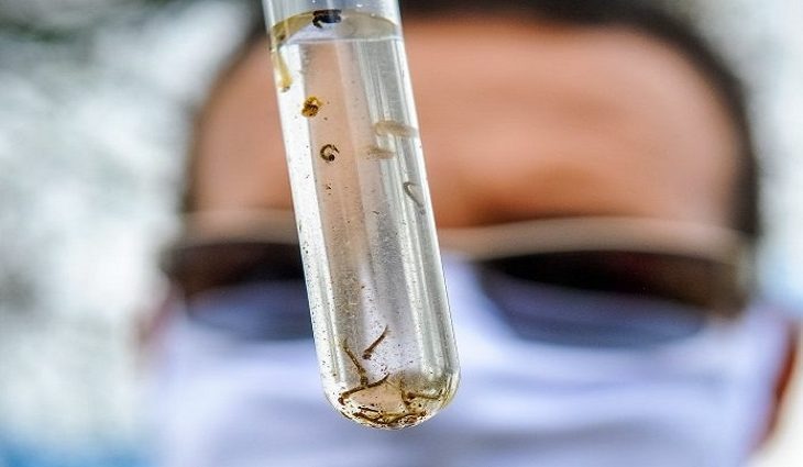 SES lança Campanha de Enfrentamento à Dengue, Zika e Chikungunya em MS