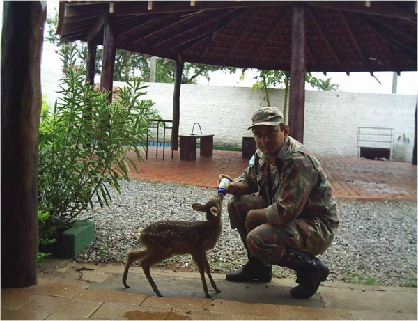 Os crimes contra a fauna são combatidos por meio da prevenção e repressão à caça, ao tráfico e maus-tratos de animais, bem como a manutenção de animais silvestres em cativeiro. A preocupação no Estado é com o “papagaio”, que é o animal mais traficado. Dessa forma concentra-se a fiscalização no período reprodutivo da espécie, de setembro a dezembro, pois o papagaio só interessa enquanto filhote ao traficante, pois assim, pode aprender a imitar a voz humana. MS também é rota de entrada de canários peruanos/chilenos pela Bolívia com destino a região Nordeste e ao Distrito Federal, para utilização principal em rinhas. Outro trabalho que tem sido feito desde sua criação, é a captura  e proteção de animais silvestres nos centros urbanos.