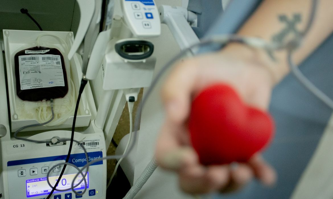 Senado proíbe discriminação a doadores de sangue homossexuais Foto: Agência Brasil