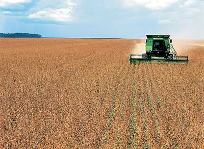 Valorização da soja faz preço da terra subir Valorização da soja faz preço da terra subir