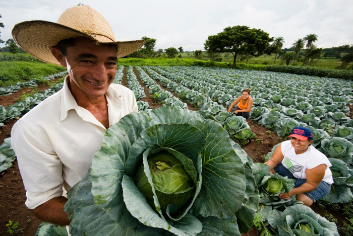 Programa de Compra Institucional fortalece a agricultura familiar