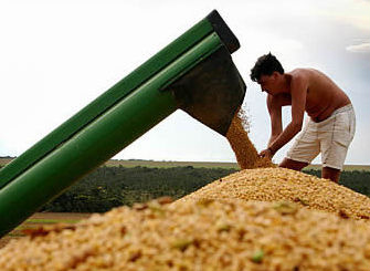 Aberta a temporada de emprego nas lavouras de soja em MS