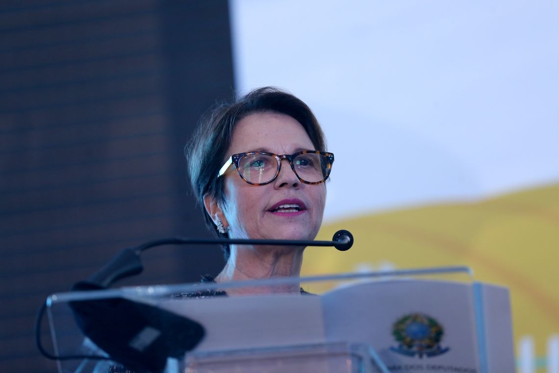 Tereza Cristina é confirmada para o Ministério da Agricultura Divulgação.