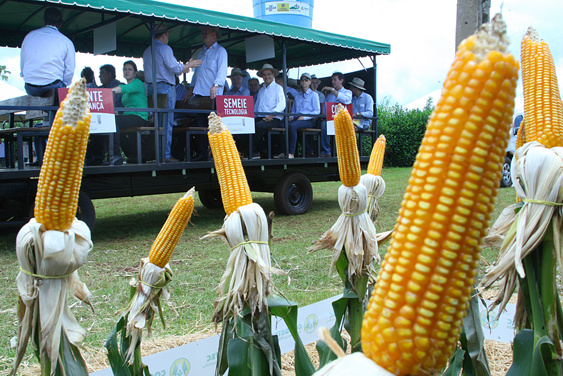 O evento é um dos maiores do país no segmento e tem o governo do Estado como um dos parceiros