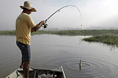 Após piracema, pesca será liberada nos rios de MS a partir desta terça-feira Após piracema, pesca será liberada nos rios de MS a partir desta terça-feira