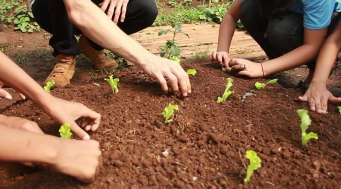 Reinaldo Azambuja e Marquinhos Trad lançam Agricultura Urbana