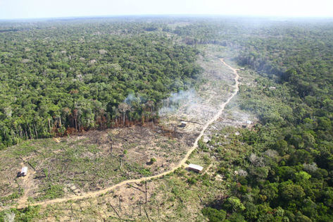 Ministério do Meio Ambiente detecta crescimento de desmatamento na Amazônia