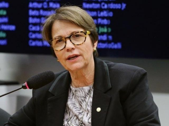 Com receita de R$ 11 bilhões, deputada terá missão de fomentar agronegócio Deputada Tereza Cristina (DEM) vai assumir Ministério das Agricultura em 2019