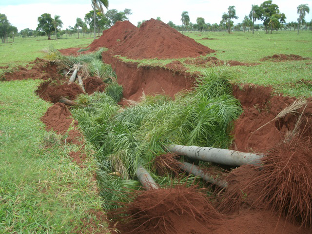 PMA autua arrendatário de fazenda em R$ 6,3 por derrubar árvores ilegalmente