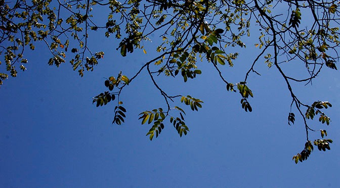 Foto: Chico Ribeiro