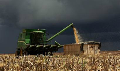 Chuvas complicam colheita da soja na Argentina