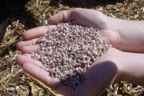 Venda de fertilizantes deve crescer 3% em 2014 Foto: Assessoria de Imprensa Sistema Famasul