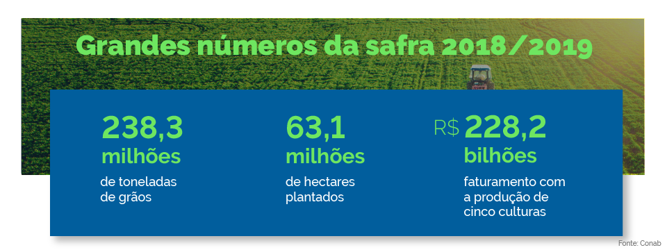 Safra de grãos cresce 4,5% e deve fechar em 238,3 milhões de toneladas