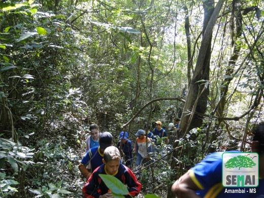 Semai realiza trilha ecológica em comemoração ao aniversário de Amambai Trilha ecológica em comemoração ao aniversário de Amambai.