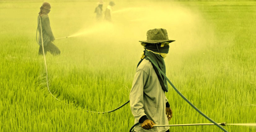 Agrotóxicos e câncer: irresponsabilidade torna-se explícita Agrotóxicos e câncer: irresponsabilidade torna-se explícita