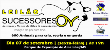 Leilões da Expobai podem comercializar até R$ 1,5 milhão em animais O segundo leilão realizado na Expobai será o tradicional Leilões Sucessores de Horacy Nunes da Silva e convidados, no dia 7 de setembro, às 19 horas.