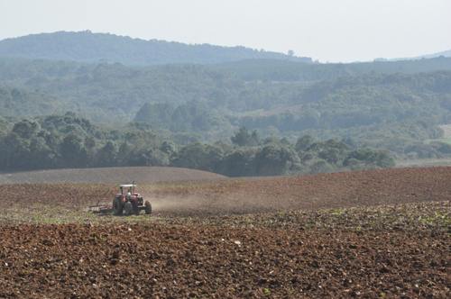 Termina hoje prazo de entrega da Declaração do Imposto Territorial Rural Termina hoje prazo de entrega da Declaração do Imposto Territorial Rural