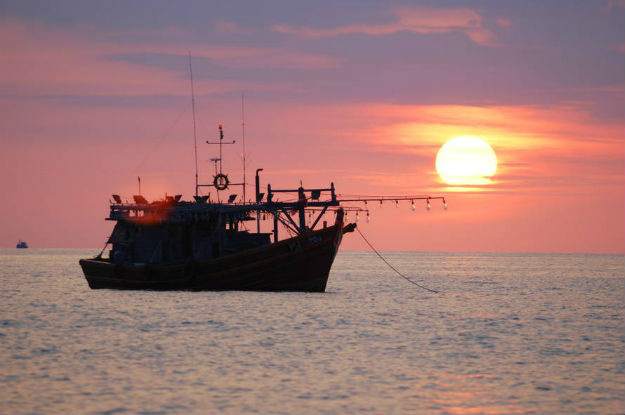 FAO e Vaticano condenam pesca ilegal e pedem ação coletiva A FAO e a Santa Sé defendem também o fim da pesca ilegal ou não reportada, que retira dos oceanos entre 11 e 26 milhões de toneladas de peixes por ano.Foto: Divulgação