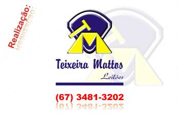 Leilões da Expobai podem comercializar até R$ 1,5 milhão em animais Serão realizados três leilões, nos dias 6, 7 e 8, todos organizados pela empresa leiloeira Teixeira Mattos Leilões.