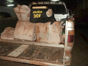 DOF prende duas pessoas com 259 kg de maconha