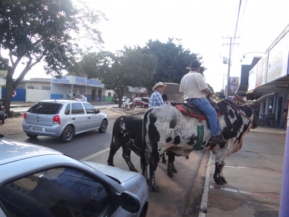 A presença dos animais de montaria na principal avenida da cidade desperta atenção das pessoas / Foto: Moreira Produções 