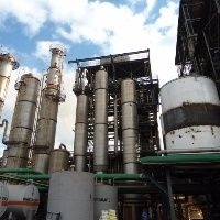 Soja ganha força no Brasil com biodiesel Foto: Divulgação