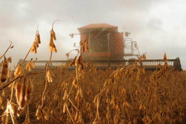 Preço da soja no Brasil se aproxima do recorde nominal de 2004