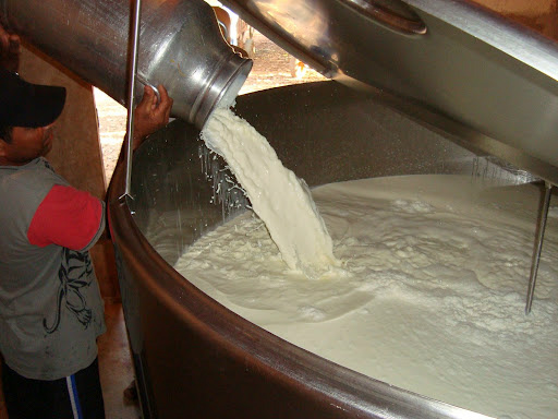 Importações brasileiras de lácteos caem 32,3% em fevereiro