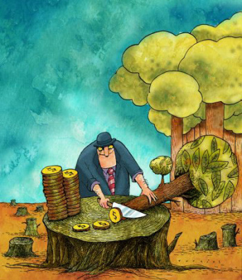 Programa de financiamento no novo Código Florestal
