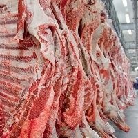 Cadastro no Precoce MS deve ser atualizado até 15 de janeiro Foto: Divulgação