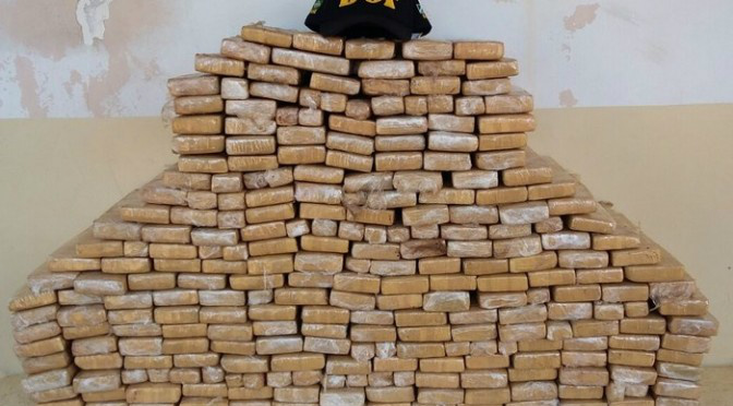 Droga tinha como destino São José e Florianópolis (SC) / Foto: DOF