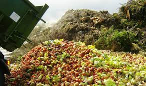 No mundo é desperdiçada mais de metade das frutas e legumes Foto: Divulgação
