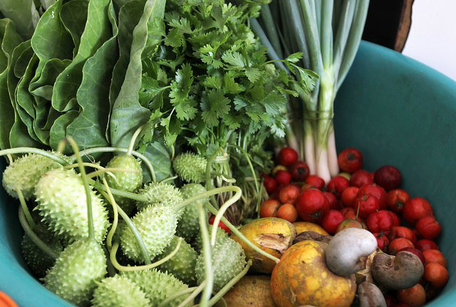 Frutas e hortaliças ficam mais baratas no mês de outubro A batata foi a única hortaliça que teve aumento de preços nas nove centrais de abastecimento analisadasFoto: Divulgação
