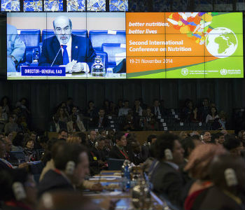 Foto: FAO/Alessandra Benedetti