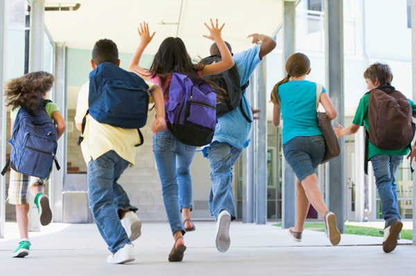 O PLS receberá decisão terminativa na Comissão de Educação, Cultura e Esporte do Senado