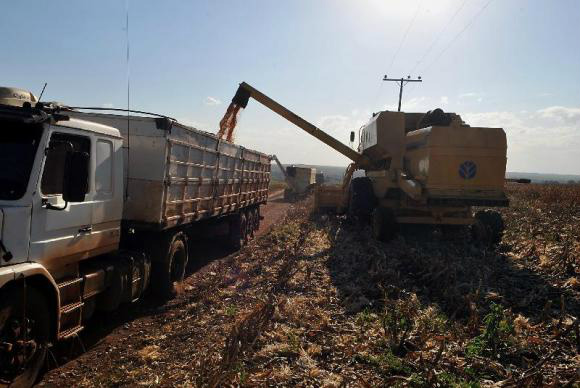 Expansão da soja eleva safra de grãos do país Soja é destaque em levantamento da Conab sobre a safra de grãos 2015/2016 Valter Campanato/Agência Brasil