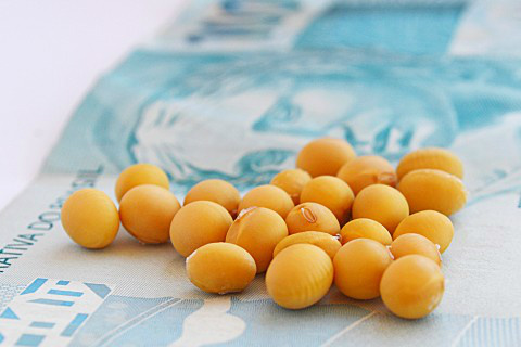 Foto: Assessoria de Imprensa Sistema Famasul