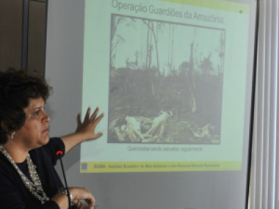 Taxa de desmatamento da Amazônia é a menor já registrada