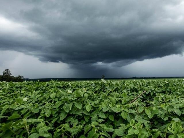 Aplicativo vai mostrar previsão imediata de chuvas para agricultores Foto: Divulgação