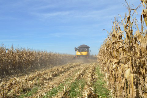 Foto: Assessoria de Imprensa Sistema Famasul