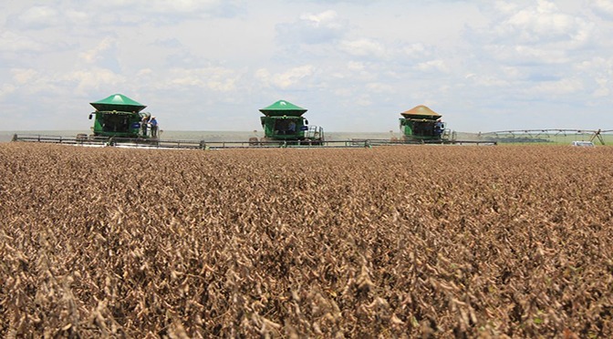 MS tem 2.213 milhões de hectares de soja cadastrados e prazo termina dia 10 Foto: Divulgação