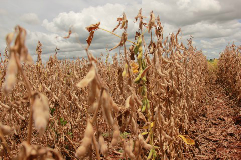 Foto: Assessoria de Imprensa Sistema Famasul