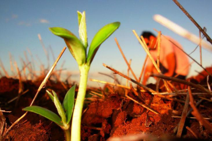 Manejo do solo é tema do Circuito Aprosoja em Amambai