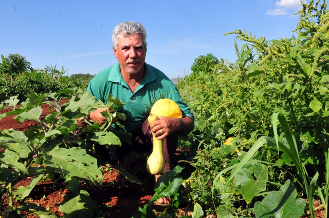 Governo lança novo portal de agroecologia Foto: Divulgação