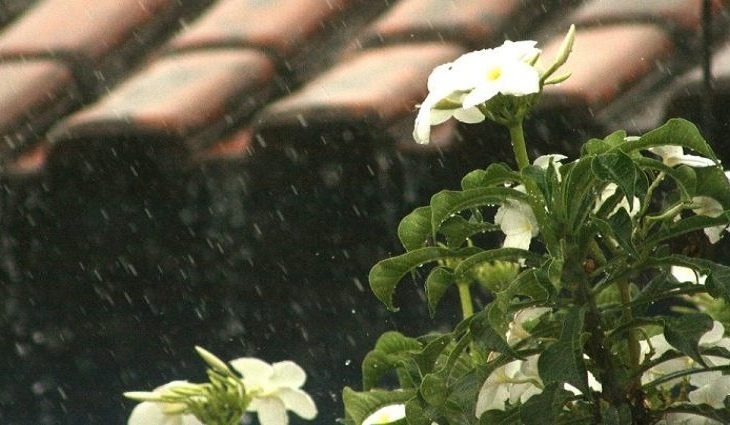 Sábado com pancadas de chuva e máxima de 32°C para Mato Grosso do Sul Foto: Edemir Rodrigues