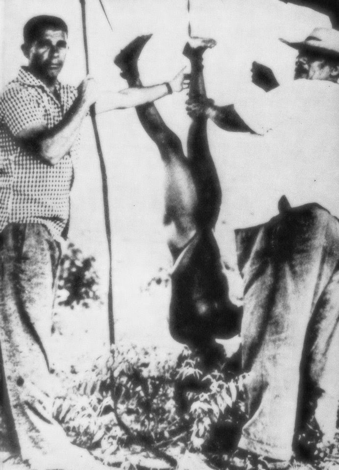 Dez fotografias que retratam a História do Brasil Dez fotografias que retratam a História do Brasil