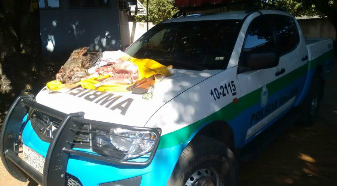 Caçador com cateto abatido em garupa de moto é preso pela PMA