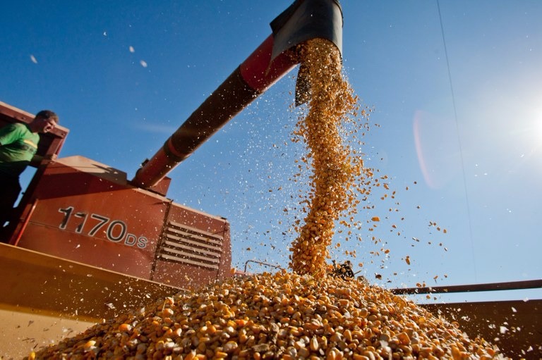 PIB agropecuário registra maior alta em 21 anos Neste ano, a previsão de supersafra de grãos contribuiu para impulsionar o setor agropecuário / Foto: Divulgação